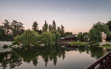 Summer Evening Stroll at the Chinese Garden in The Huntington Library