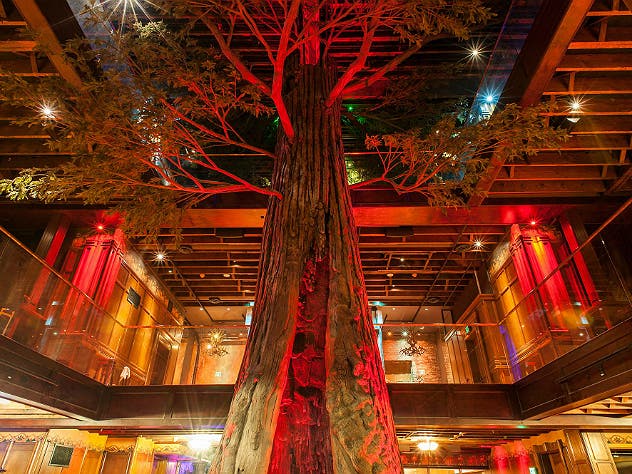 Redwood tree at Clifton’s | Photo by Wonho Frank Lee, courtesy of Los Angeles Conservancy